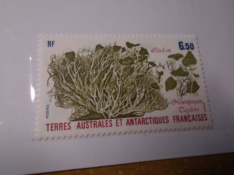 French Southern Antarctic Territory  #  127  MNH