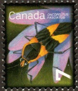 Canada 2408 - Mint-NH - 7c Large Milkweed Bug (2010)