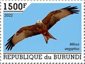 Burundi - 2022 Birds of Prey, Yellow-billed Kite - Stamp - BUR2201083a