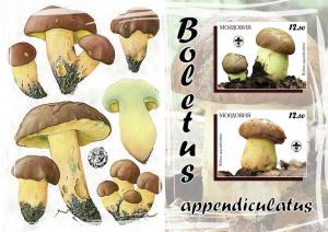 RUSSIA LOCAL SHEET IMPERF MUSHROOMS