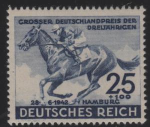 B204 Race Horse
