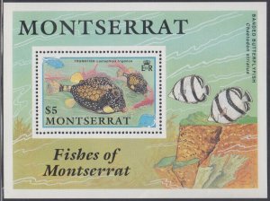 MONTSERRAT Sc # 762 MNH SOUVENIR SHEET of a TRUNKFISH