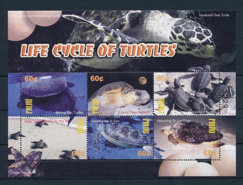 [35358] Palau 2004 Reptiles Turtles MNH Sheet