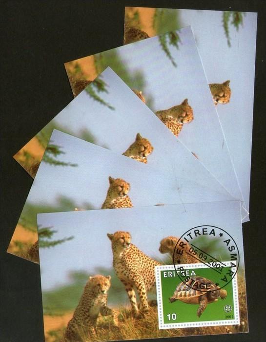 Eritrea 2001 Leopards Turtle Wild Life Reptiles Fauna M/s Cancelled x 5 # 3188