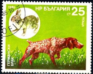 Dog, German Pointer, Rabbit, Bulgaria stamp SC#3132 used