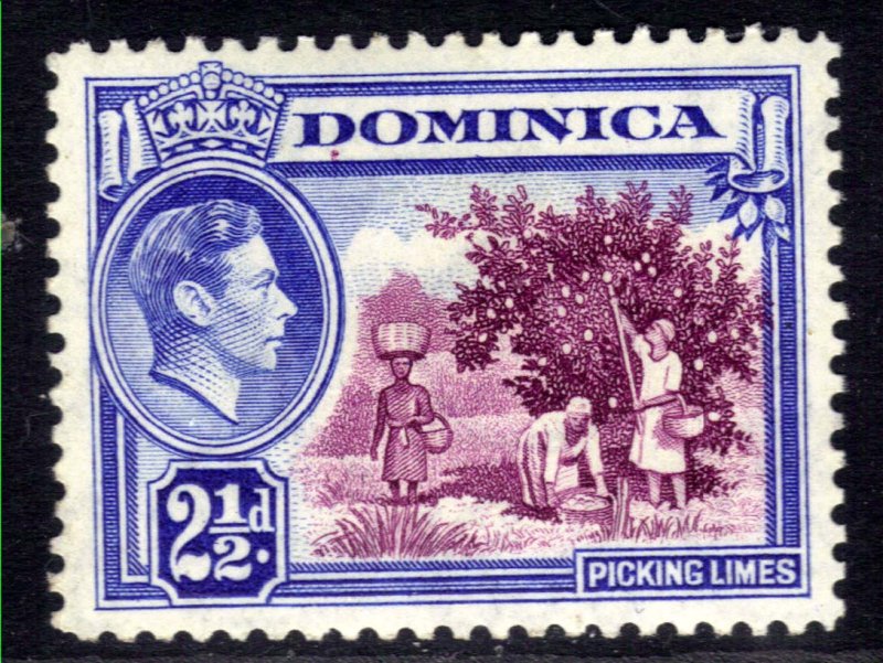 Dominica 1938 - 47 KGV1 2 1/2d Picking Limes MM SG 103 ( B180 )