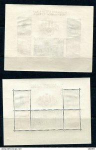 Czechoslovakia 1955 2 Sheets Perf+Imperf Sc 719 MNH  Praga 12952