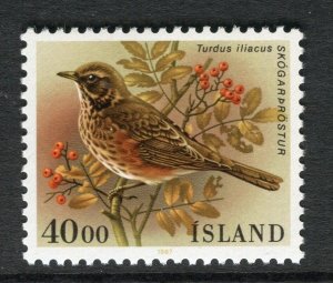 ICELAND; 1990s early Birds issue fine Mint 40k. value