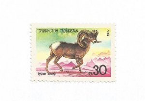 TADZHIKISTAN - 1992 - Altai Sheep - Perf Single Stamp - M L H