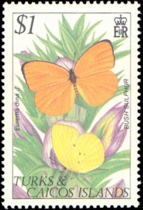 Turks and Ciacos Islands #507-510, Complete Set(4), 1982, Butterflies, Never ...