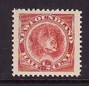 Newfoundland-Sc#57- id7-unused VLH 1/2c orange red Dog-nicely centered-1894-