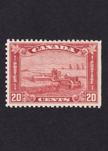 Canada, Scott 175, Mint NH, VF