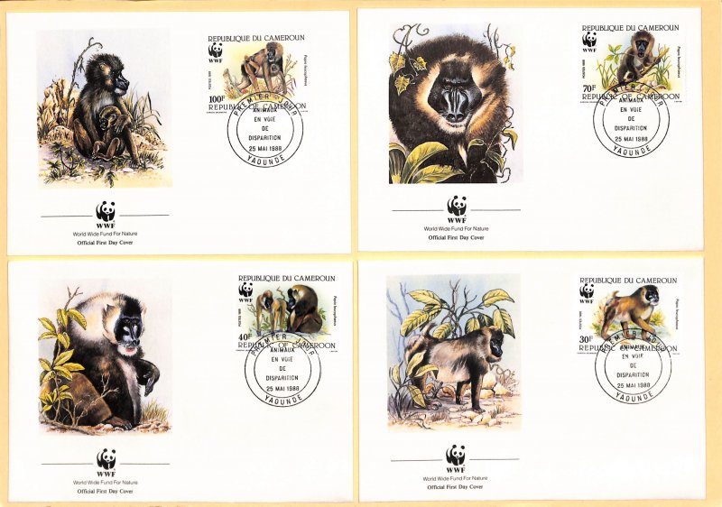 Cameroun WWF World Wild Fund for Nature FDC drill monkey