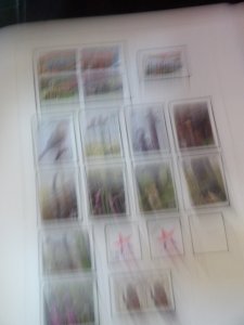 FUN Modern Used Collection