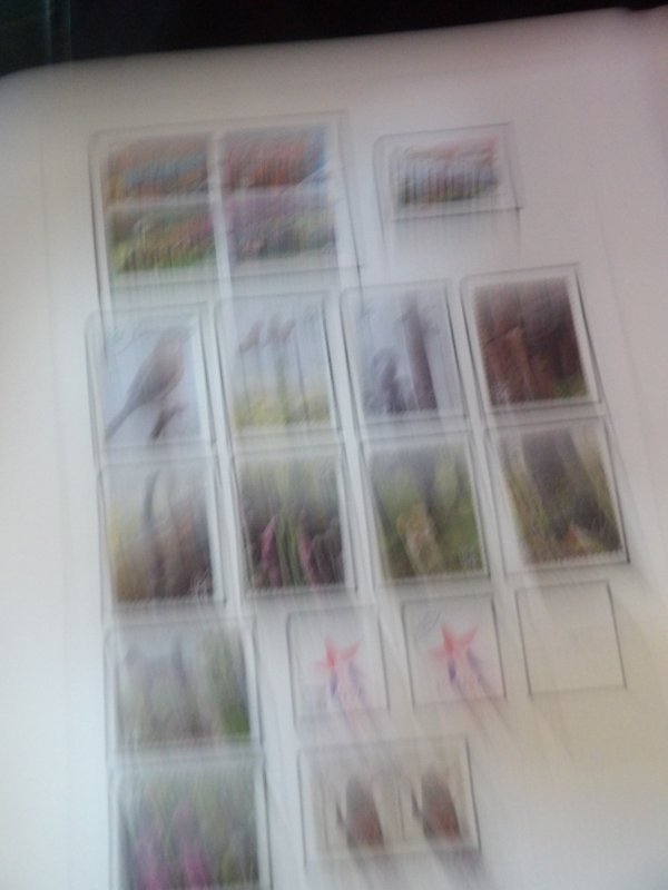 FUN Modern Used Collection