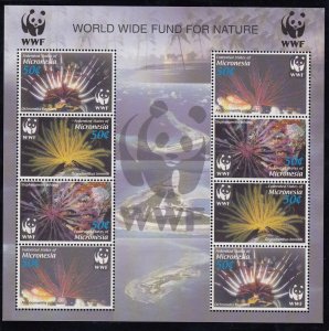 MICRONESIA Sc 659A NH MINISHEET OF 2005 - SEA LIFE - WWF - (JO23)