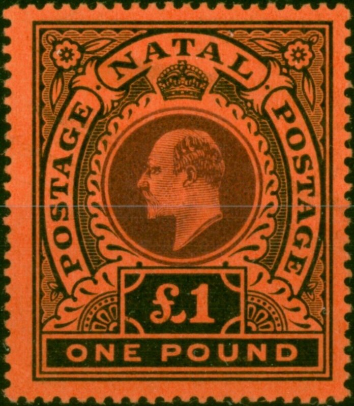 Natal 1908 £1 Purple & Black-Red SG171 Fine & Fresh MM 