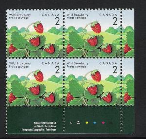 Canada PL BL Wild Strawberry 2
