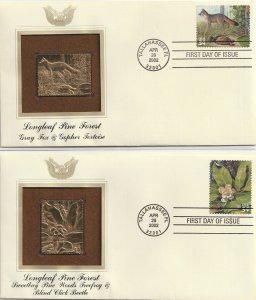 United  States  Gray  Fox & Goper  Tortoise g /Blind  Click  Beatle h