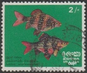 Sri Lanka 1972  Sc#476 2/- Black Ruby Barb Fish USED-VF-NH.