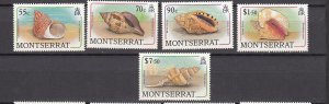 J26565 jlstamps 1988 Br colony montserrat mnh sea shell stamps part of set