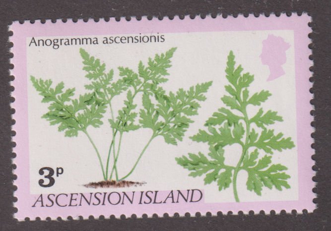Ascension Island 251 Anogramma Ascensionis 1980