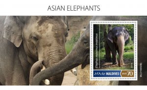 Maldives 2019 MNH Wild Animals Stamps Elephants Asian Elephant 1v S/S