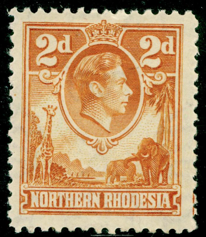 NORTHERN RHODESIA SG31, 2d yellow-brown, LH MINT. Cat £50.