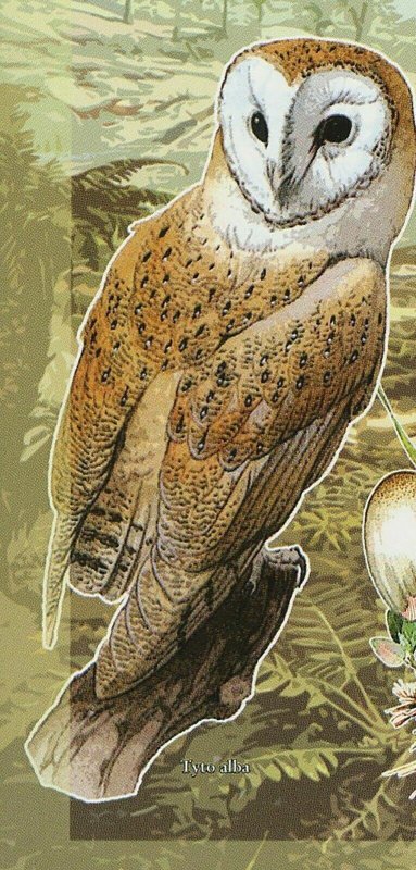 Owls Mushrooms Stamp Rotary Lions Strix Aluco Coprinus Atramentarius S/S MNH