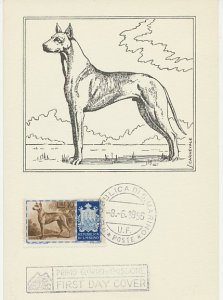 Maximum card San Marino 1956 Dog - Great Dane