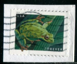 5395 US (55c) Frogs - Pacific Tree Frog SA, used on paper