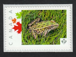 FROG on a grass = Picture Postage MNH stamps Canada 2015 [p15/10fg3/3]