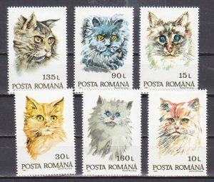 Romania, Scott cat. 3822-3827. Various Cats Faces issue.