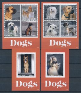 [110678] Uganda 2013 Pets dogs boxer shepherd with 2 souvenir sheets MNH