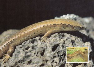 Norfolk Island 1996 Maxicard Sc #596b 45c Lord Howe Island skink WWF