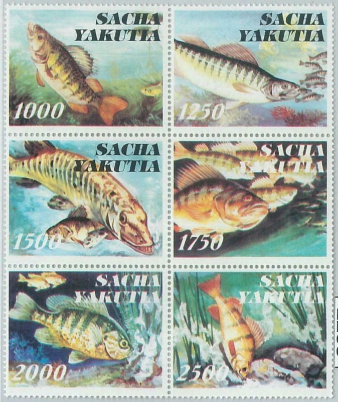 M2238- RUSSIAN STATE, STAMP SET: Fish, Marine life