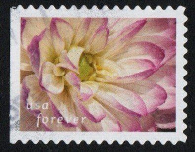 New2025 - (73c) - Dahlias #5 of 10, BKLT Used single off paper