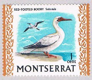 Montserrat 231 MLH Red footed Booby 1970 (BP3136)