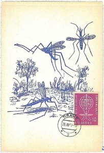 32531 - ALBANIA - MAXIMUM CARD: insect medicine MALARIA 1962 # 3-