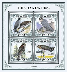 Togo 2021 MNH Birds of Prey on Stamps Peregrine Falcons Hawks Goshawk 4v M/S