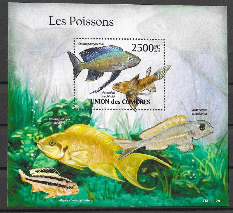 Comoro Islands MNH S/S Fish 2011