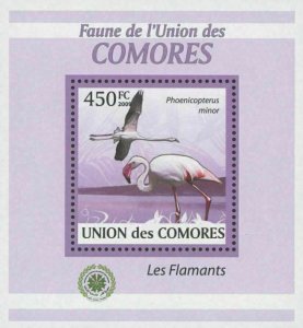 Flamingoes Stamp Bird Phoenicoreptus Minor Lake Mini Sov. Sheet MNH