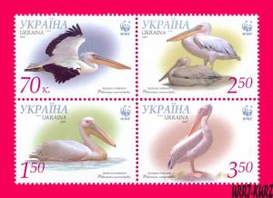 UKRAINE 2007 Nature Fauna Birds Pelicans WWF block of 4v Sc696 Mi897A-900AZd MNH