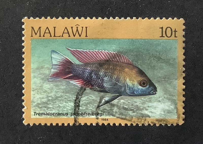 Malawi 1984  Scott 432  used - 10t,  Aquarium species, fish