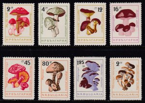 Bulgaria, Mushrooms MNH / 1961