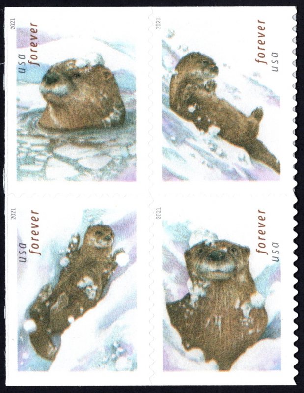 SC#5648-51 (Forever) Otters In Snow Block of Four (2021) SA