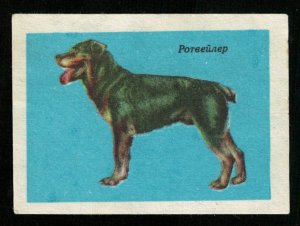 Dog, Matchbox Label Stamp, USSR (T-9645)