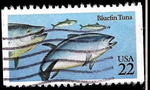 # 2208 USED BLUEFIN TUNA