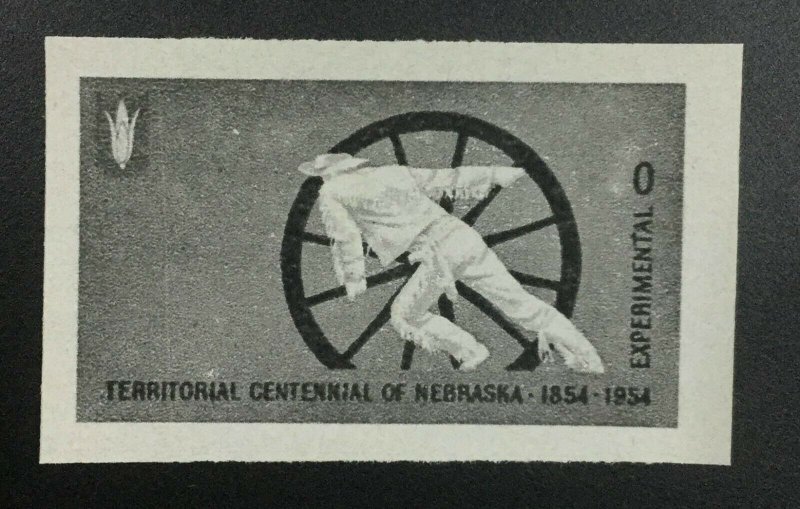 MOMEN: US STAMPS #TD100 MINT OG NH LOT #50064