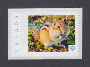 CHIPMUNK = RODENTS = Picture Postage stamp MNH Canada 2014 [pp9cw4/2]